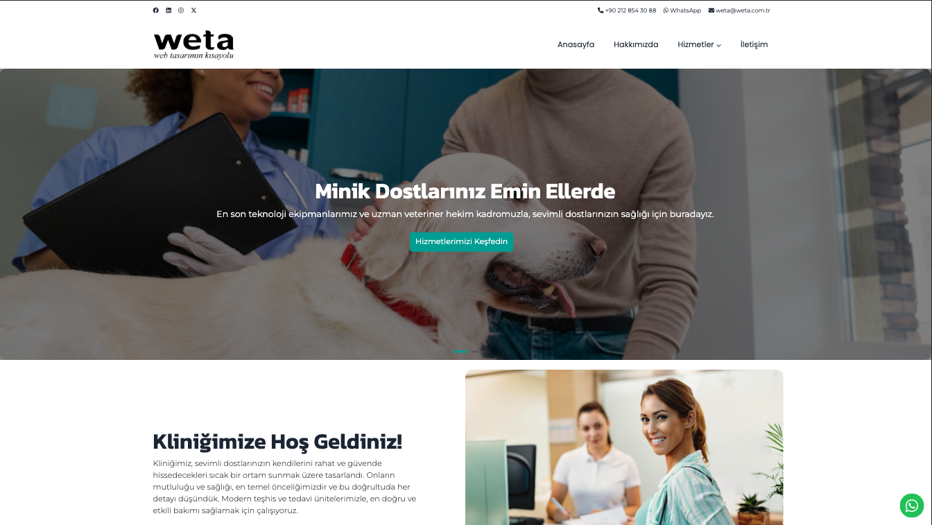 Veteriner Web Site Teması